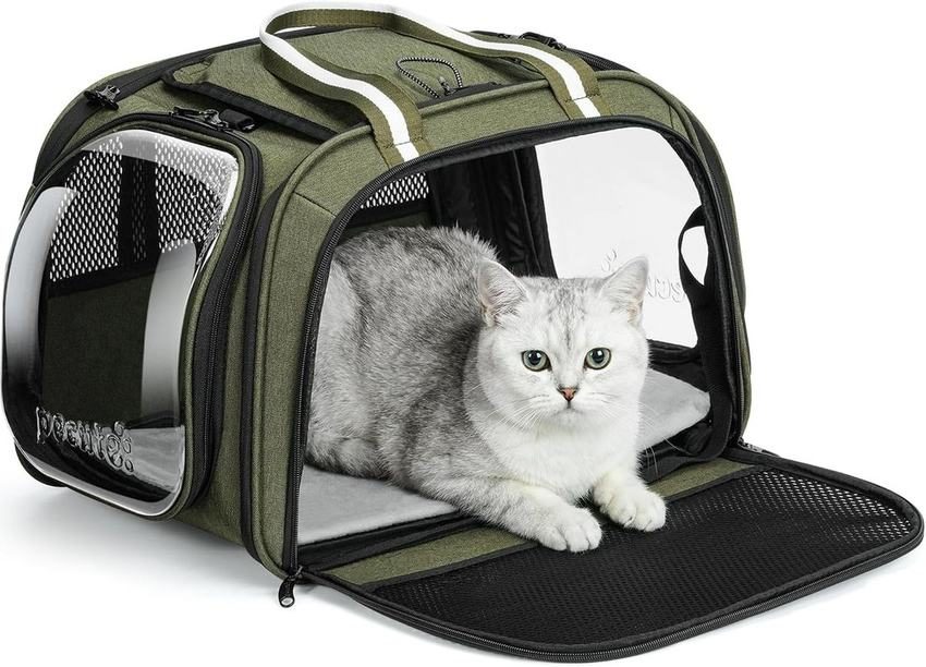 Pet carrier bag with panoramic windows, M–XL0 kg) - photo 2