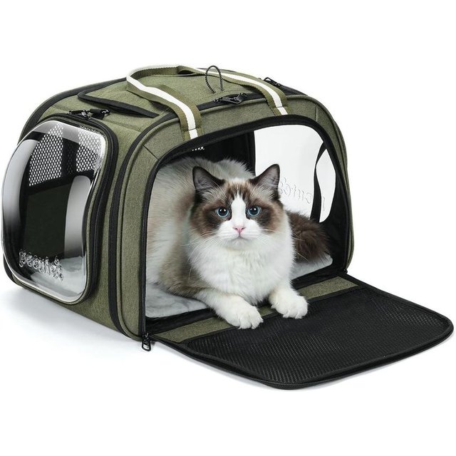 Carrier bag with panoramic windows