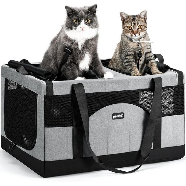 Foldable carrier for two cats