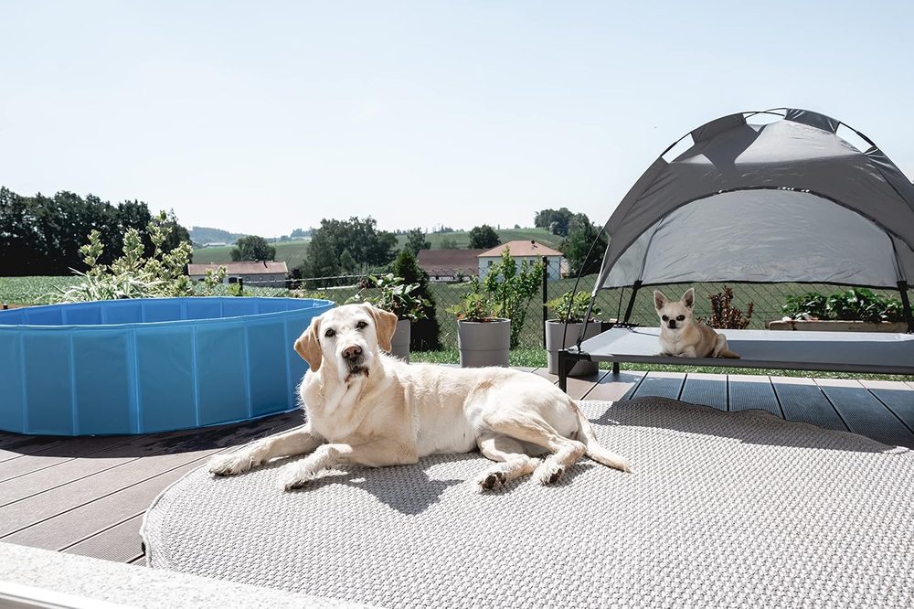 Kerbl foldable 100 L dog pool, 80 cm — 2