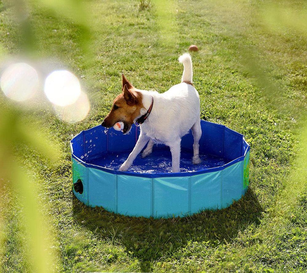 Sweetypet compact anti-slip dog pool, 80 cm — 7