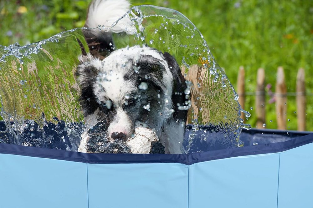 maxxpro XXL pool for large dogs, 160 cm — 6