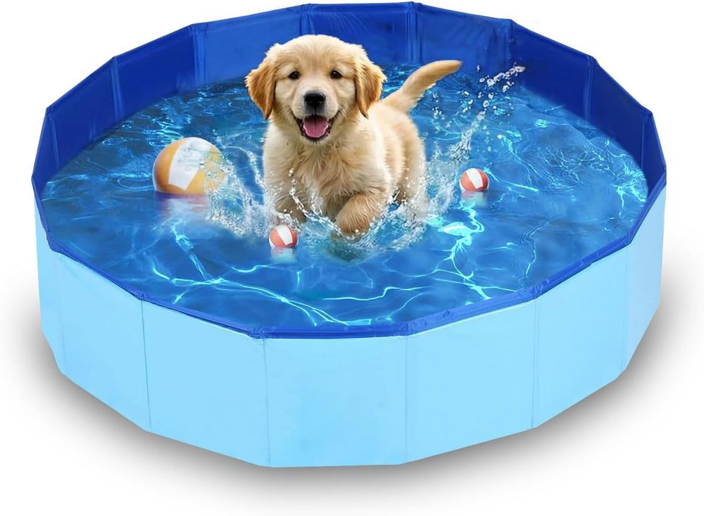 Shallow mini pool for puppies and cats, 50 cm