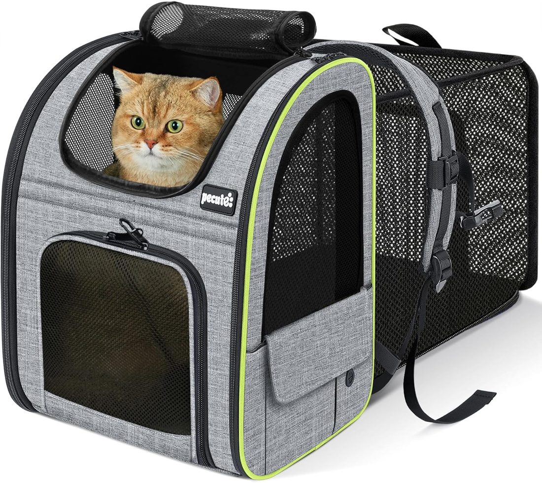 Backpack with ventilation - photo 1