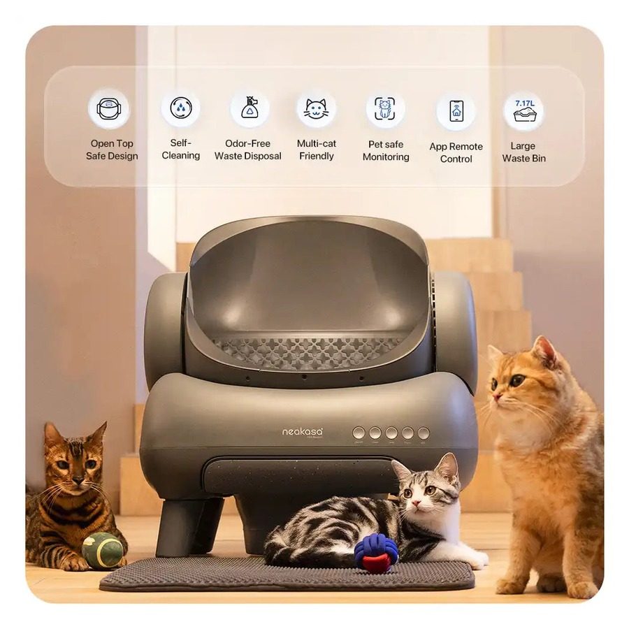 Spacious 42 × 43.5 cm opening — fits large cats