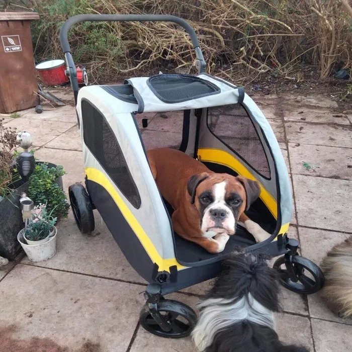 All-season pet stroller with shock absorption - photo 3