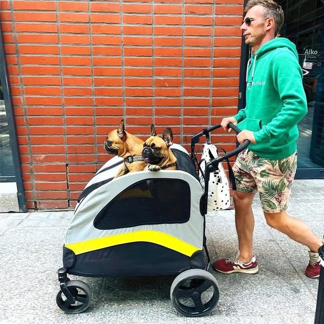 All-season pet stroller with shock absorption