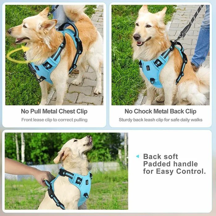 Anti-jerk harness with handle - photo 4