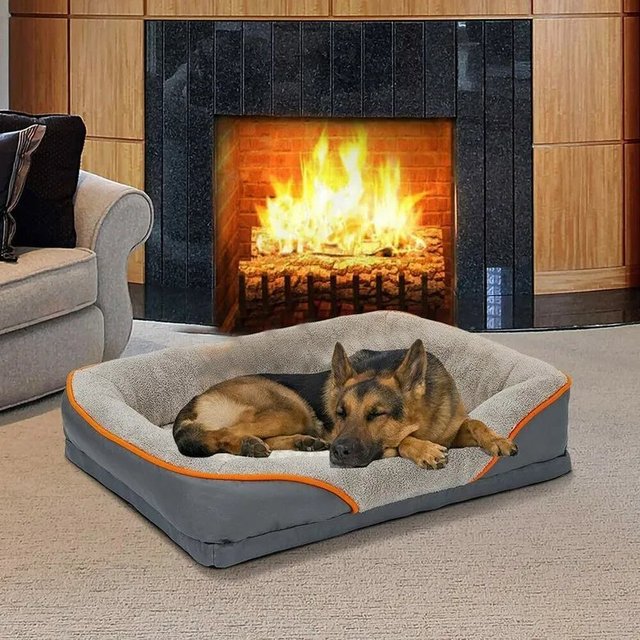 Bed with side and removable cover for dogs