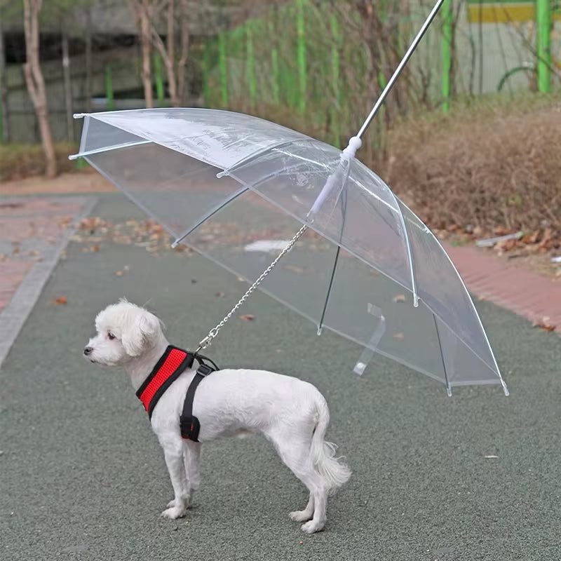 Umbrella Dog Lead — Clear Canopy for Rainy Walks — photo 2