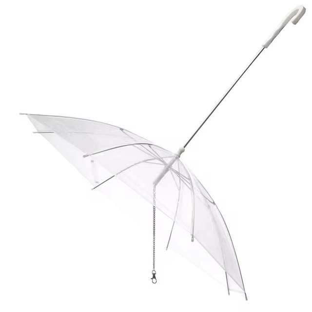 Umbrella Dog Lead — Clear Canopy for Rainy Walks